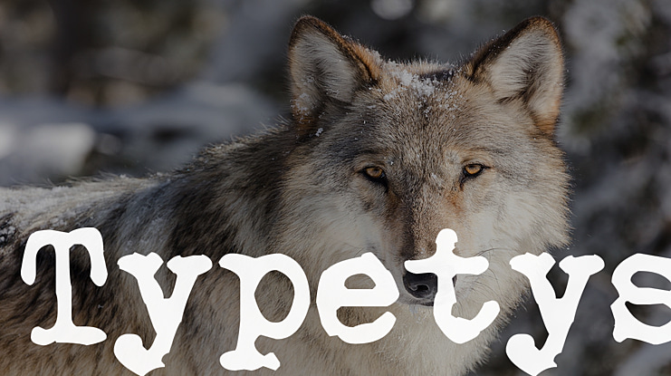 Typetys Font