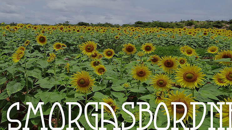 SmorgasbordNF Font Family