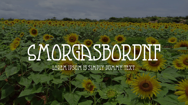 SmorgasbordNF Font Family