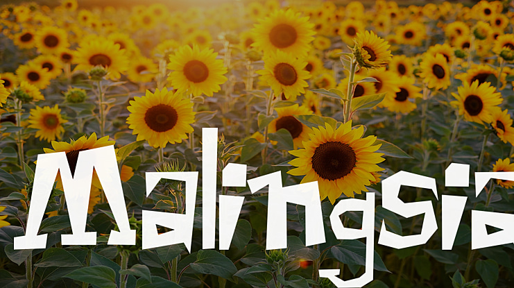 Malingsia Font