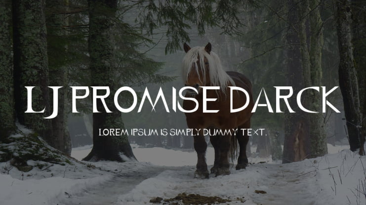 LJ Promise Darck Font