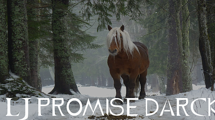 LJ Promise Darck Font