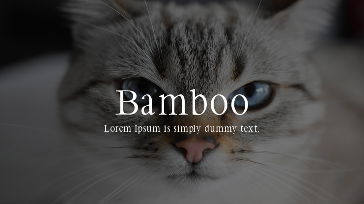Bamboo Font