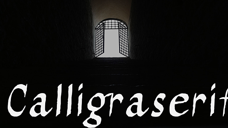 Calligraserif Font