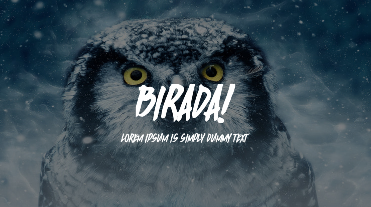 Birada! Font