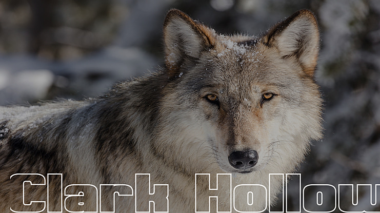 Clark Hollow Font Family