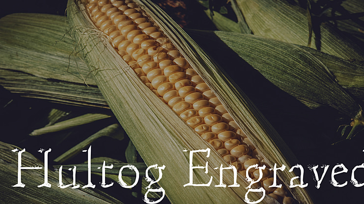 Hultog Engraved Font