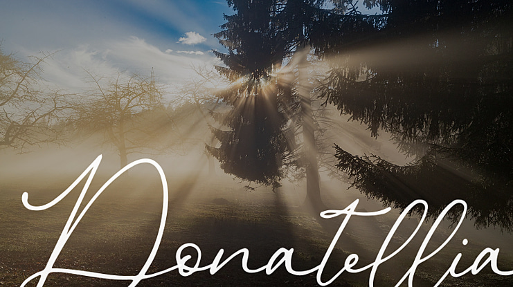 Donatellia Font
