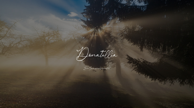 Donatellia Font