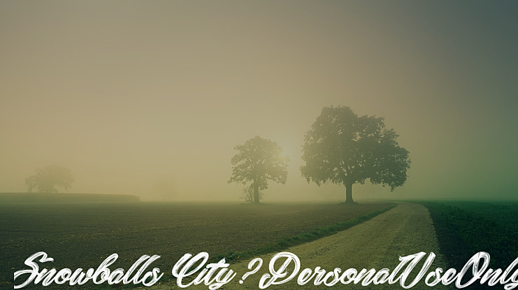 Snowballs City_PersonalUseOnly Font