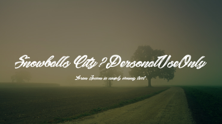 Snowballs City_PersonalUseOnly Font