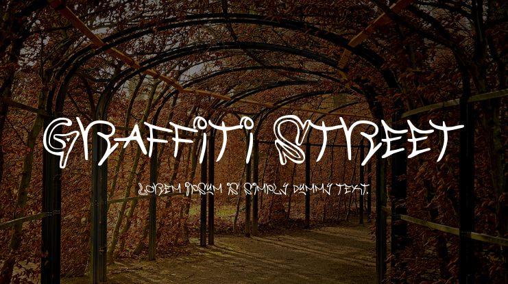 Graffiti Street Font Family