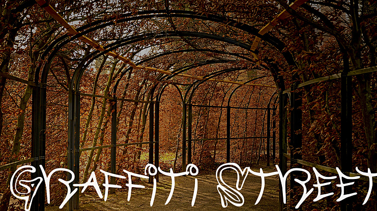 Graffiti Street Font Family