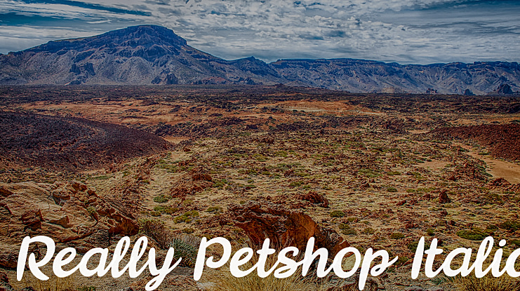 Really Petshop Font Family