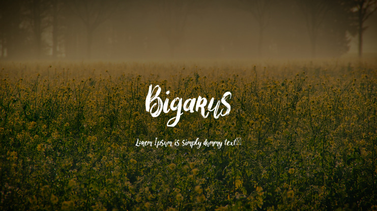 Bigarus Font