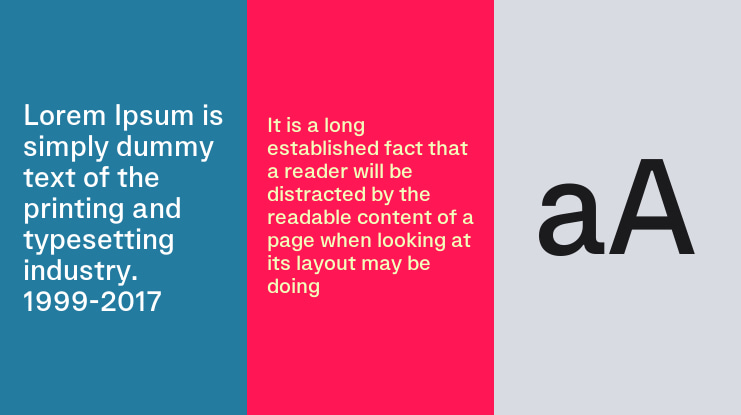 Eins Sans Font Family