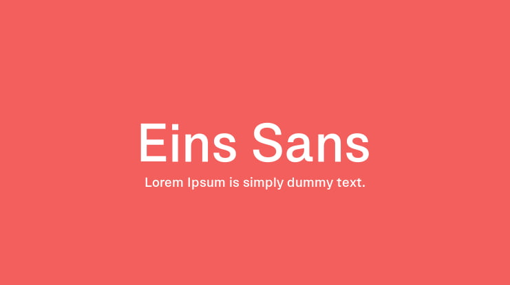 Eins Sans Font Family