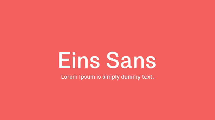 Eins Sans Font Family