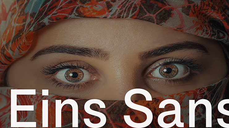 Eins Sans Font Family