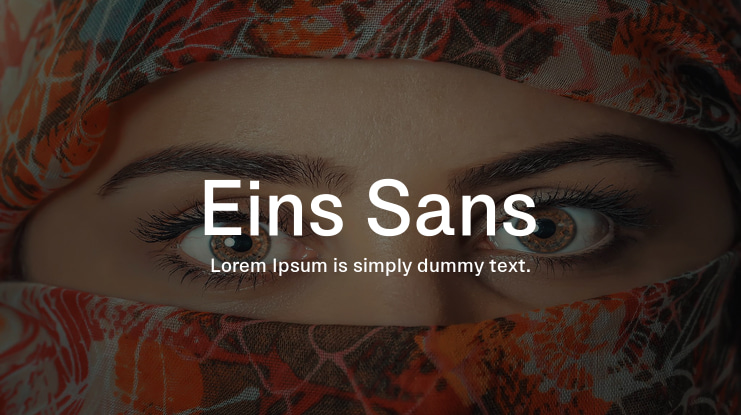 Eins Sans Font Family