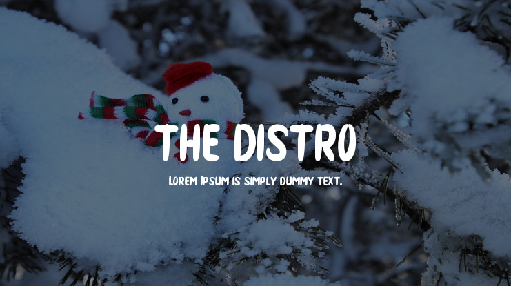 THE DISTRO Font