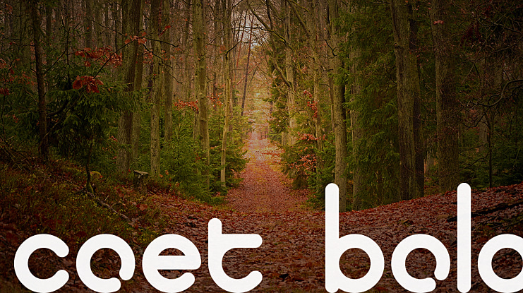 coet Font Family