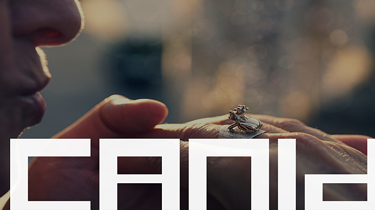 Canid Font