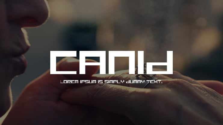 Canid Font