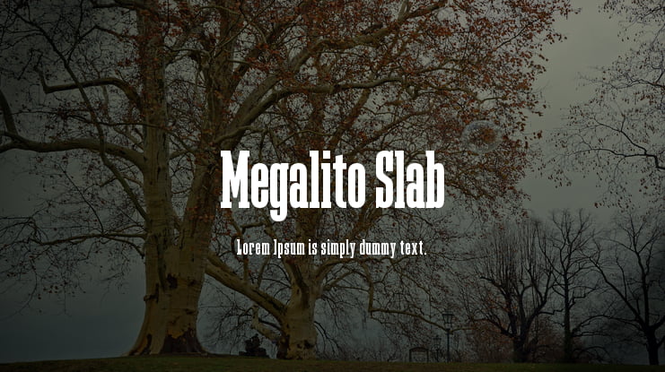 Megalito Slab Font Family