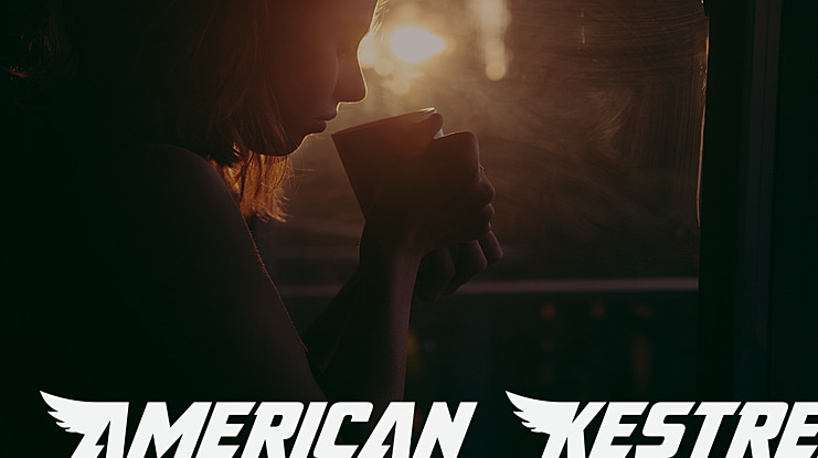 American Kestrel Font Family