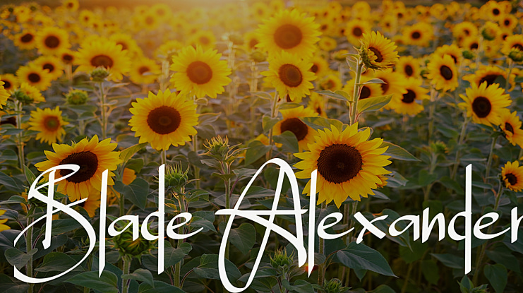Blade Alexander Font