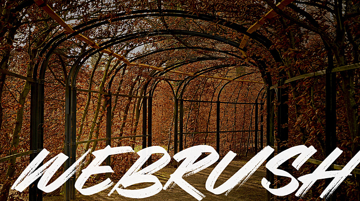 Webrush Font