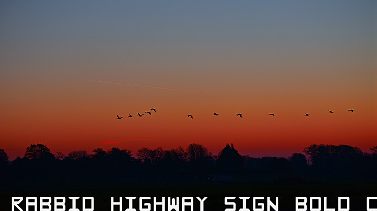 Rabbid Highway Sign Caps Narrow Font Family
