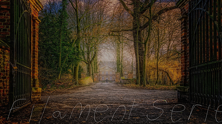 Filament Serie Font Family