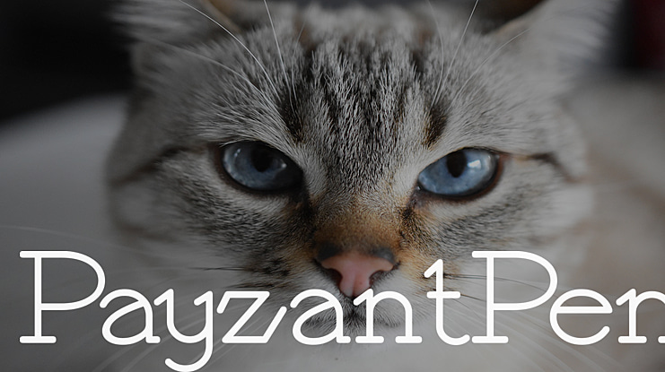 PayzantPen Font Family