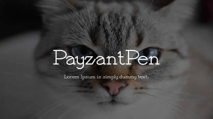 PayzantPen Font Family