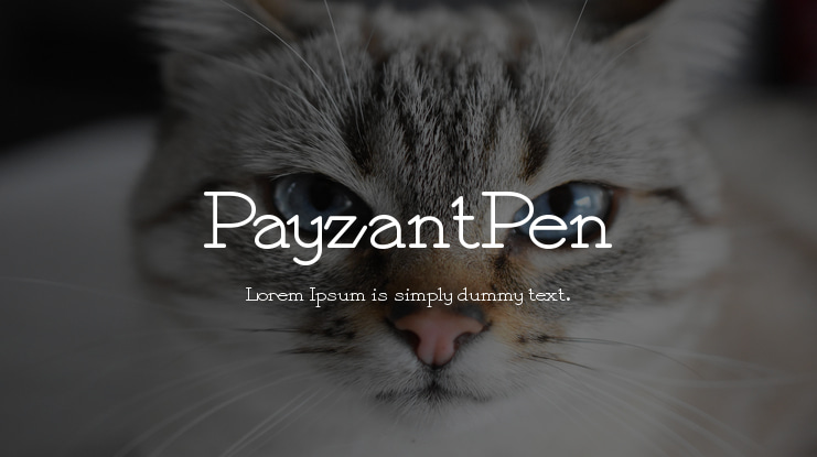 PayzantPen Font Family