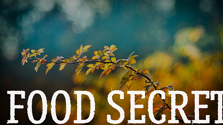 Food Secret Font