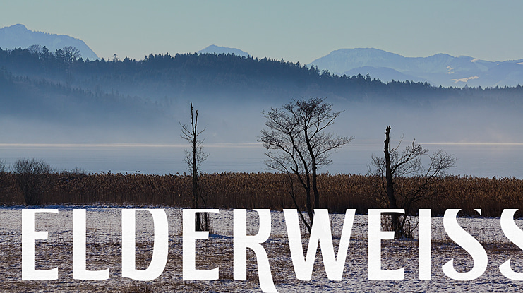 ELDERWEISS Font
