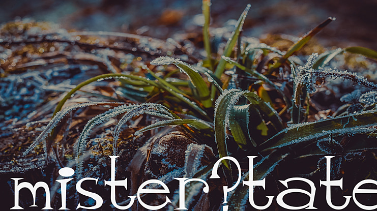 mister_tate Font