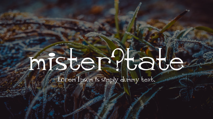 mister_tate Font