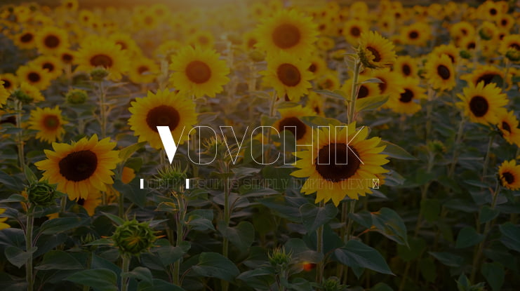 Vovchik Font