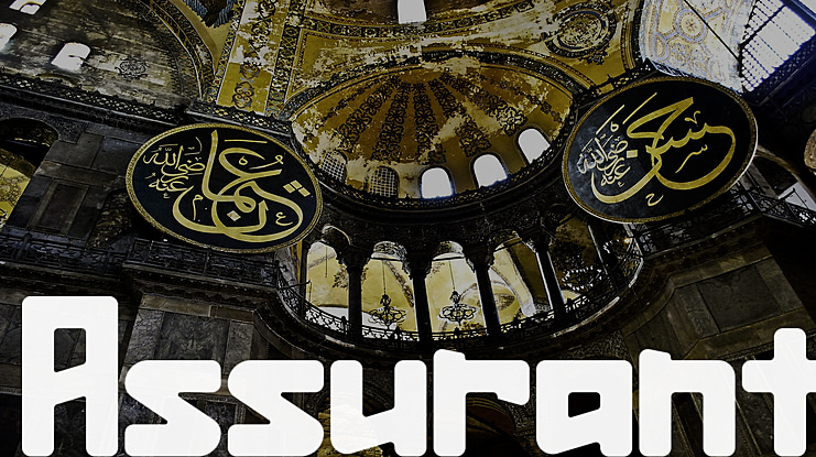 Assurant Font Family