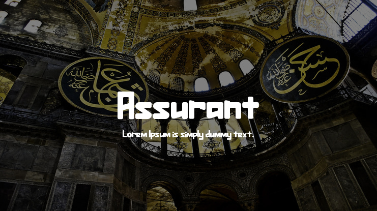 Assurant Font Family