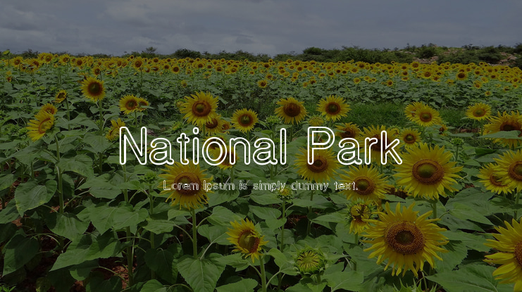 National Park Font Family