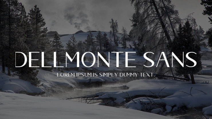 Dellmonte Sans Font