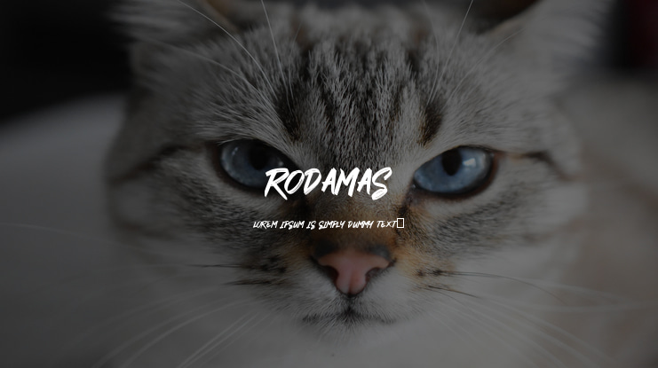 RODAMAS Font