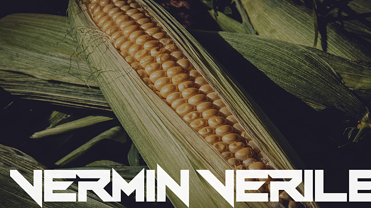 Vermin Verile Font