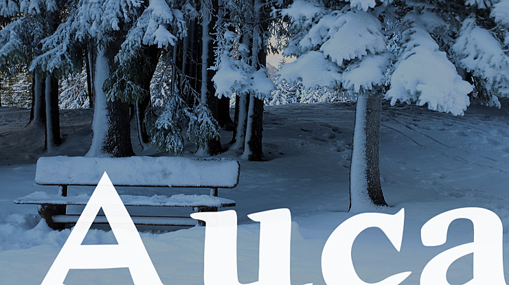 Auca Font