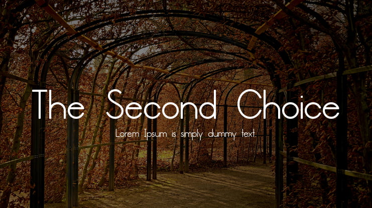 The Second Choice Font